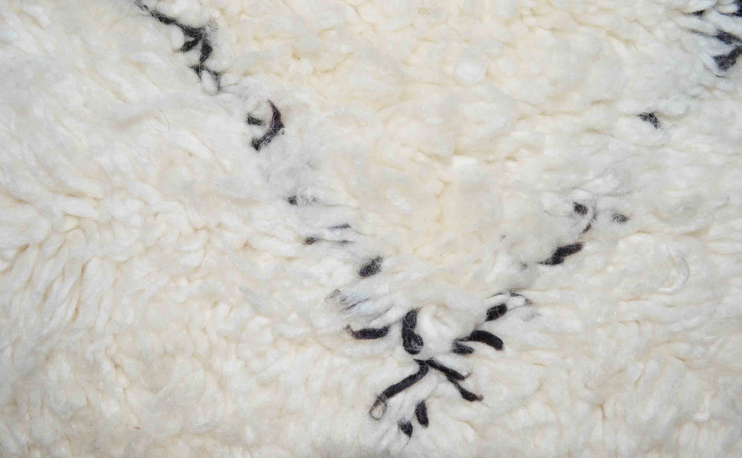 Beni Ourain BN01-21- 300 x 205 cm  